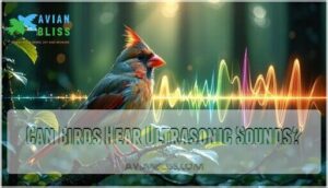 can birds hear ultrasonic sounds