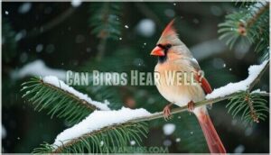 can birds hear well