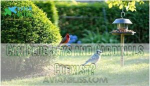 can blue jays and cardinals coexist