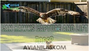 can hawks capture and lift dogs