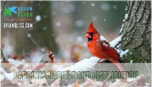 cardinal habitat and distribution