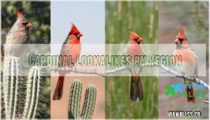 cardinal lookalikes by region