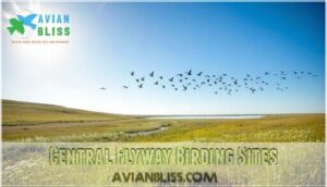 central flyway birding sites