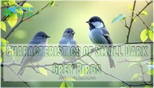 characteristics of small dark grey birds