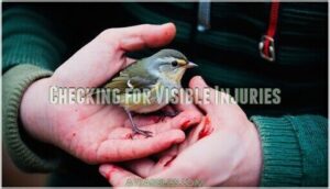 checking for visible injuries