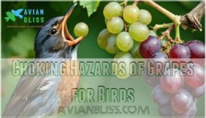 choking hazards of grapes for birds