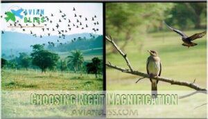 choosing right magnification