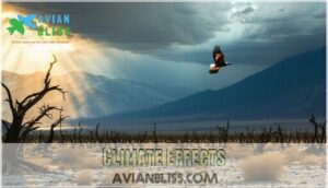 climate effects