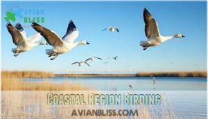 coastal region birding