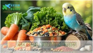 cockatiel nutrition basics