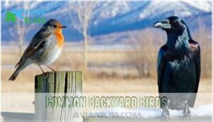 common backyard birds