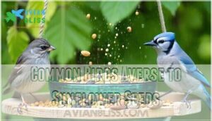 common birds averse to sunflower seeds