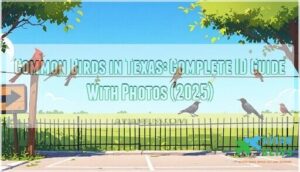 common birds in texas