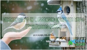 common birds in wisconsin