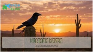 common raven