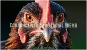 conjunctivitis and facial edema conjunctivitis and facial edema