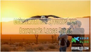 conservation efforts for arizona's large birds