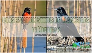 conservation status of blackbirds in michigan