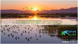 conservation strategies conservation strategies