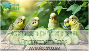 considerations when feeding cucumbers to birds