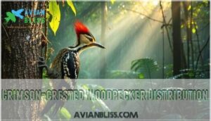 crimson-crested woodpecker distribution crimson-crested woodpecker distribution