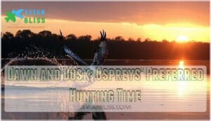 dawn and dusk: ospreys' preferred hunting time