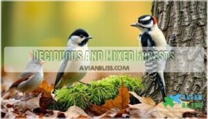 deciduous and mixed forests