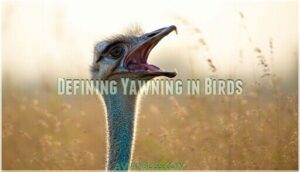 defining yawning in birds
