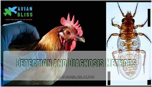 Treating Mites in Backyard Chickens: Fast & Effective Solutions