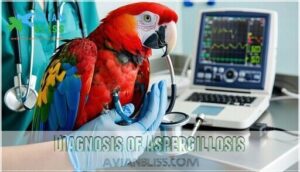 diagnosis of aspergillosis diagnosis of aspergillosis