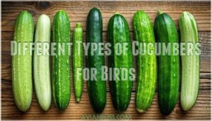 different types of cucumbers for birds
