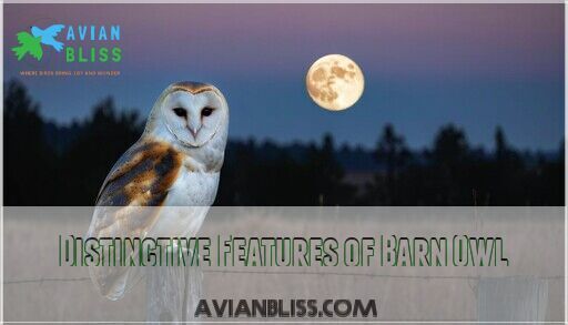 Night Birds in California: 7 Nocturnal Species You'll Hear Tonight