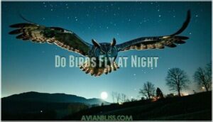 do birds fly at night