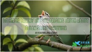 do birds yawn