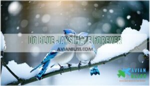 do blue jays mate forever