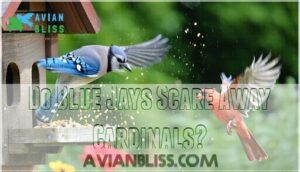 do blue jays scare away cardinals