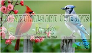 do cardinals and blue jays mate
