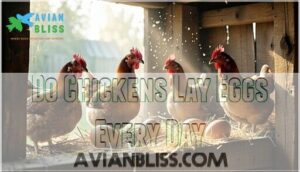 do chickens lay eggs every day