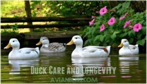 duck care and longevity