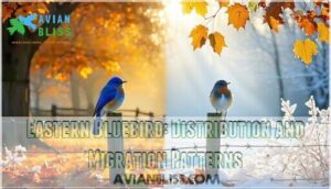 eastern bluebird: distribution and migration patterns
