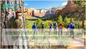 ecotourism: woodpeckers are popular among birdwatchers, contributing to ecotourism and local economies