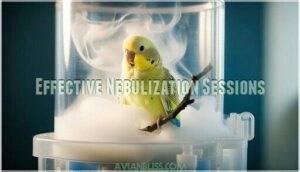 effective nebulization sessions