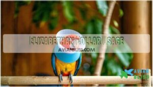 elizabethan collar usage
