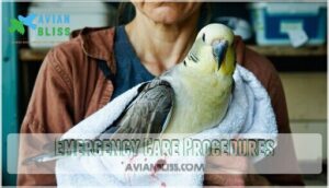 emergency care procedures