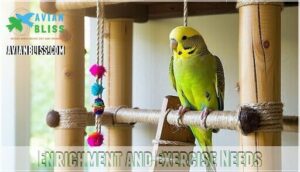 enrichment and exercise needs