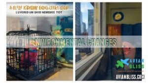 environmental changes