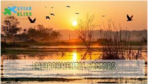 environmental factors