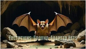 exceptions: ground-adapted bats