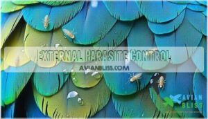 external parasite control