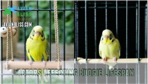 factors affecting budgie lifespan